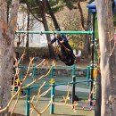 씨유 천안5산단로점 | [공지] [조잘조잘]26년 3월 4주차