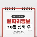 10월 셋째주 일자리정보 ! (50개 일자리정보)