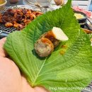 멍텅구리꼼장어 이미지