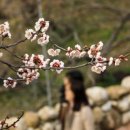 잠실3동주민센터 이미지