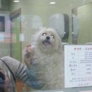 허*열