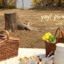 피크닉데이(picnic day)