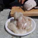 통영낚시