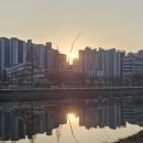 김인숙샵