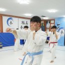극진가라데 네이버블로그