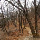 임학사거리 이미지