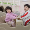 떼굴떼굴 이미지