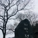 (주)엠투어티브이