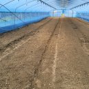 깻잎농원 이미지