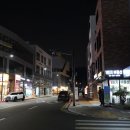 스터닝플라워