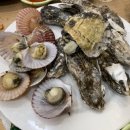 통영다찌 이미지