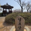 세번째걸음 방어진 꽃구경~ 이미지