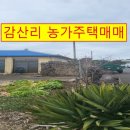 감산리 사무소 이미지