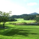 포라이즌 이미지