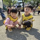 노해어린이공원 Daum카페