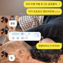 주 酒소 이미지