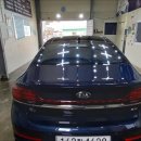 유일광택 이미지