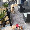 채우리네 이미지