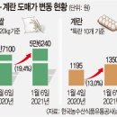 계란이랑쌀이랑