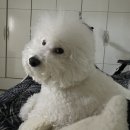 헤어큐 이미지