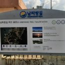 서촌마을회관 Daum카페