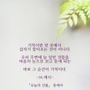오늘의선물 이미지