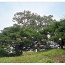 조동보건진료소 이미지