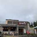 흑돼지전문점! 코코와 함께 흑돼지우대갈비에 와인 먹어본 서귀포애견동반 솔직후기 -'중문 모메든식당'