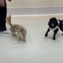 멍데이유치원