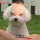 다 이미지