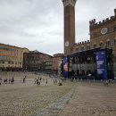 세계로렌트카 이미지