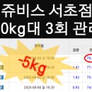 (주)쥬비스다이어트 서초점 이미지