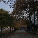 북파주기아정비센타 | 2025년 11월 파주&amp;서울 낭만여행(망원 키친갈매기, 파주 지지향 라이브러리스테이, 사적인 서점)