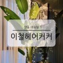 명동 미용실 이철헤어커커 1호점 효정 실장님 예약 모발 클리닉 후기