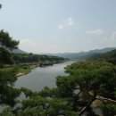 처연의 소리 이미지