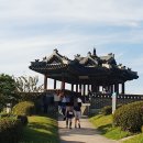 동암1교 | [수원화성 화홍문] 근처 방화수류정과 용연 연못 억새 만발한 성곽둘레길