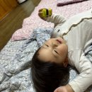 낙안초등학교 | 순천민박 낙안읍성민박해밀펜션 하늘이 보이는 창과 편백나무 피톤치드 향