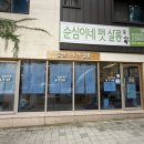 기대만족&슈가살롱 | 전주 애견미용 순심이네 펫 살롱 꼼꼼한 미용 후기