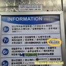 렌느브로우 | [관리]노원 속눈썹펌 추천 렌느브로우 | 대만족 후기