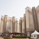 독스마캣 안성롯데캐슬점 이미지