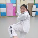 경희대성웅태권도