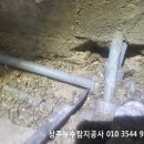 고래실길 이미지