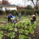 백마농장 이미지