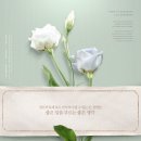 좋은생각 이미지