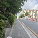 도당애견