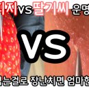 뽑기컴온 네이버블로그