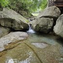 장흥계곡집 이미지