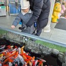 덕소자연사박물관 | 덕소자연사박물관 아이랑 다녀온 남양주 공룡 박물관 추천