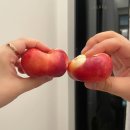 홍콩 여행 : 침사추이에서 납작복숭아 사먹기/홍콩 마트 간식 쇼핑 꿀팁 후기