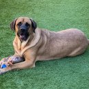 중사지농장 이미지